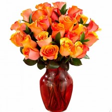 oranžové růže, Brno